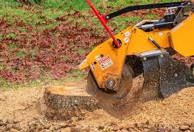 Professional Tree Services in Sunriver, OR