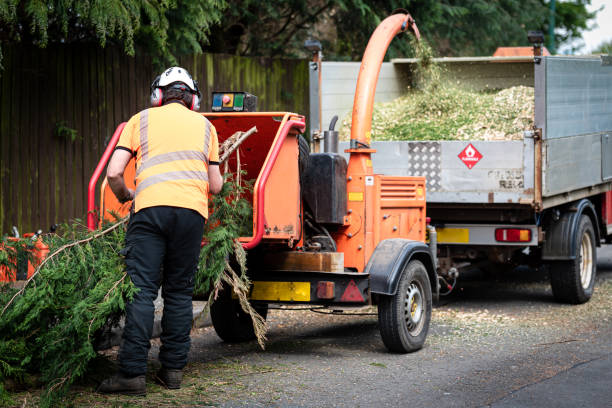 Best Fruit Tree Pruning  in Sunriver, OR