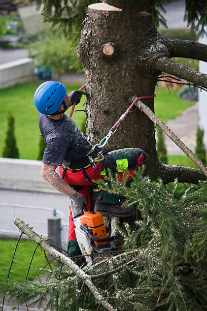 Best Tree Mulching  in Sunriver, OR