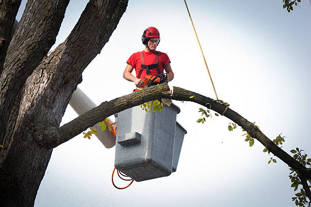 Best Storm Damage Tree Cleanup  in Sunriver, OR