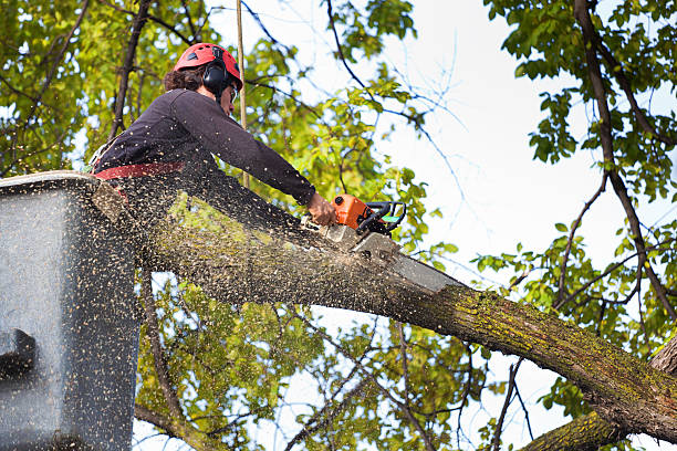 Best Seasonal Cleanup (Spring/Fall)  in Sunriver, OR